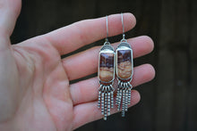 Rolling Hills Fiesta Earrings