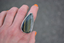 Hawks Eye Rings // 3 Sizes