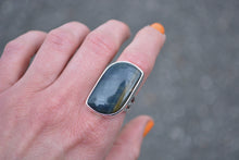 Hawks Eye Rings // 3 Sizes
