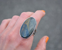 Hawks Eye Rings // 3 Sizes