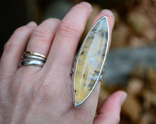 Oregon Plume Agate Ring Size 9