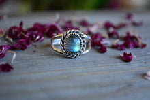 Labradorite Roped Double Band Ring